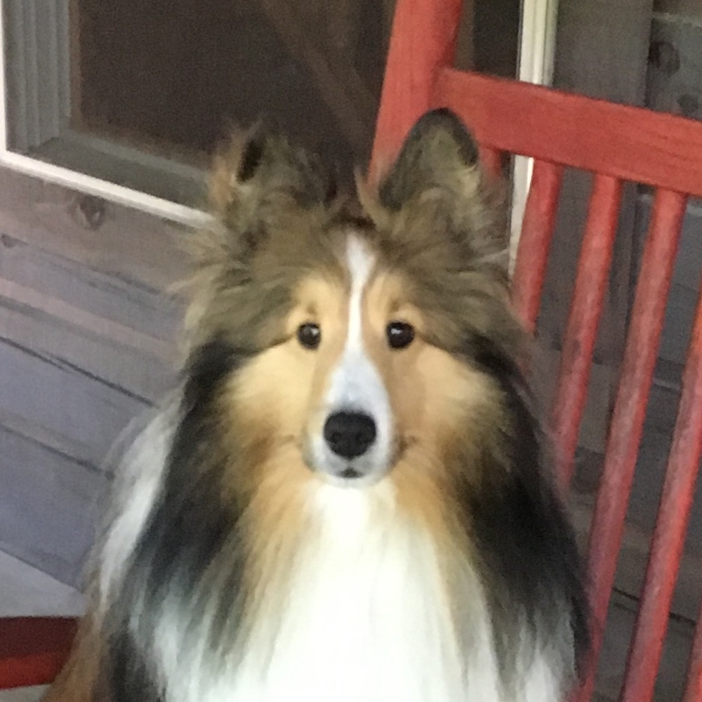 Meet your Posher, Margery